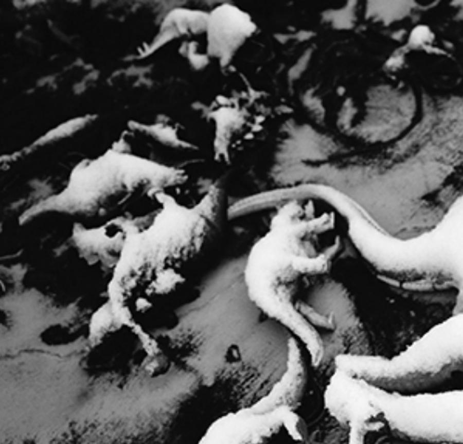 Amor-Sueño, Amor-Nada #030 - Nobuyoshi Araki, Mujer, Desnudo, Japón, Fotografía en venta 4