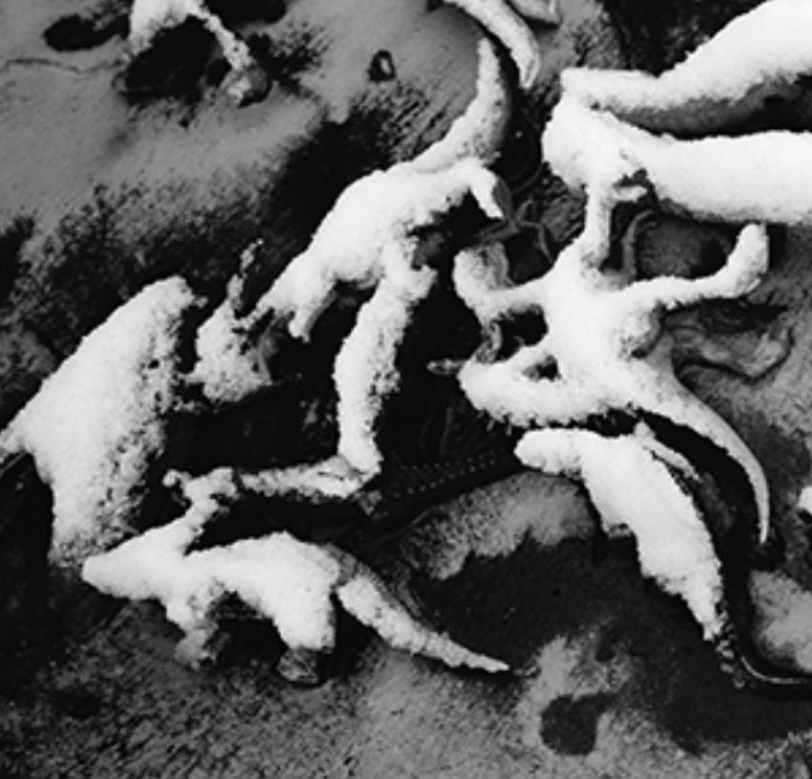 Amor-Sueño, Amor-Nada #030 - Nobuyoshi Araki, Mujer, Desnudo, Japón, Fotografía en venta 5