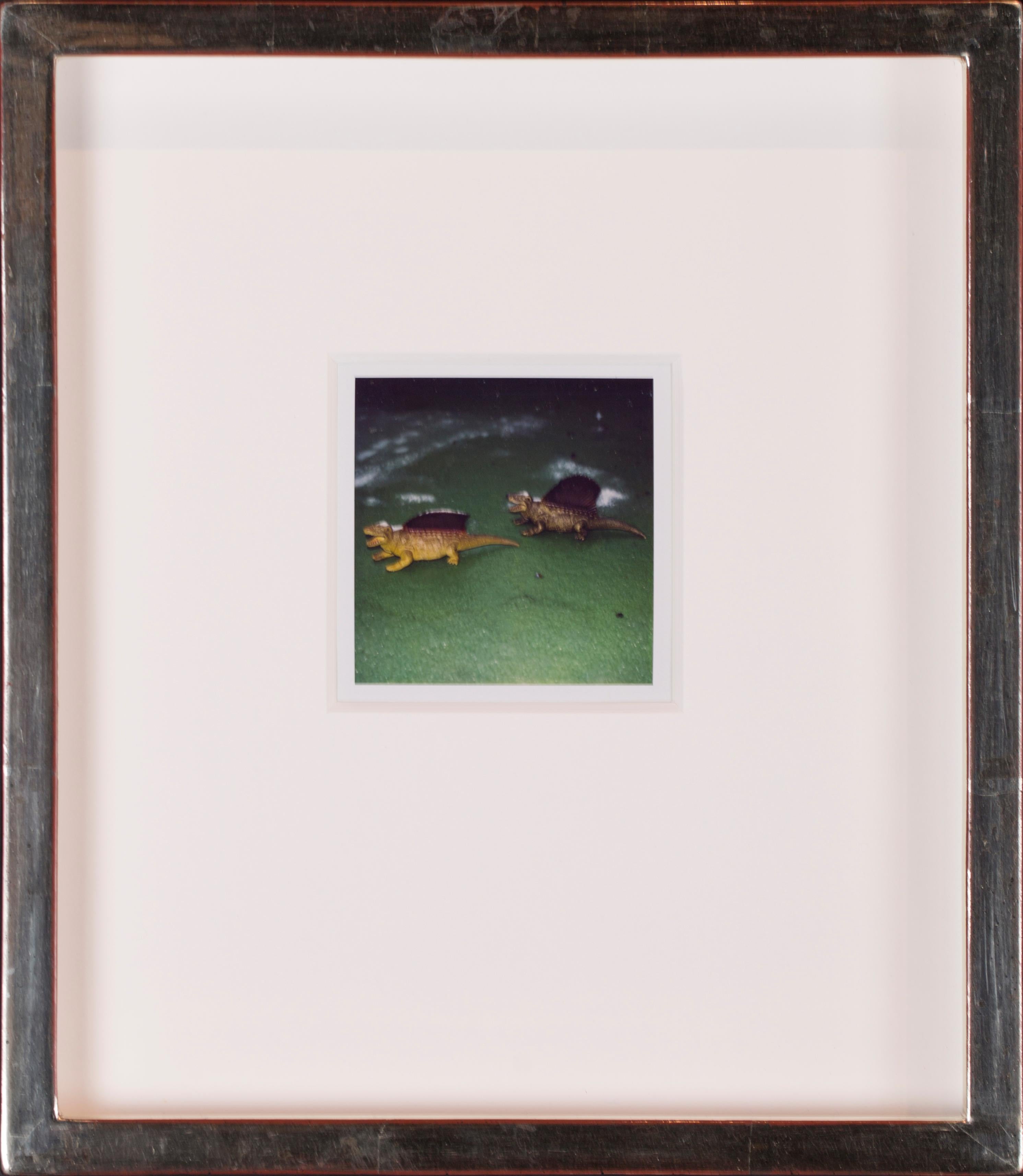 Set of 25 unique, individually custom-framed with UV filter plexiglass polaroids For Sale 8