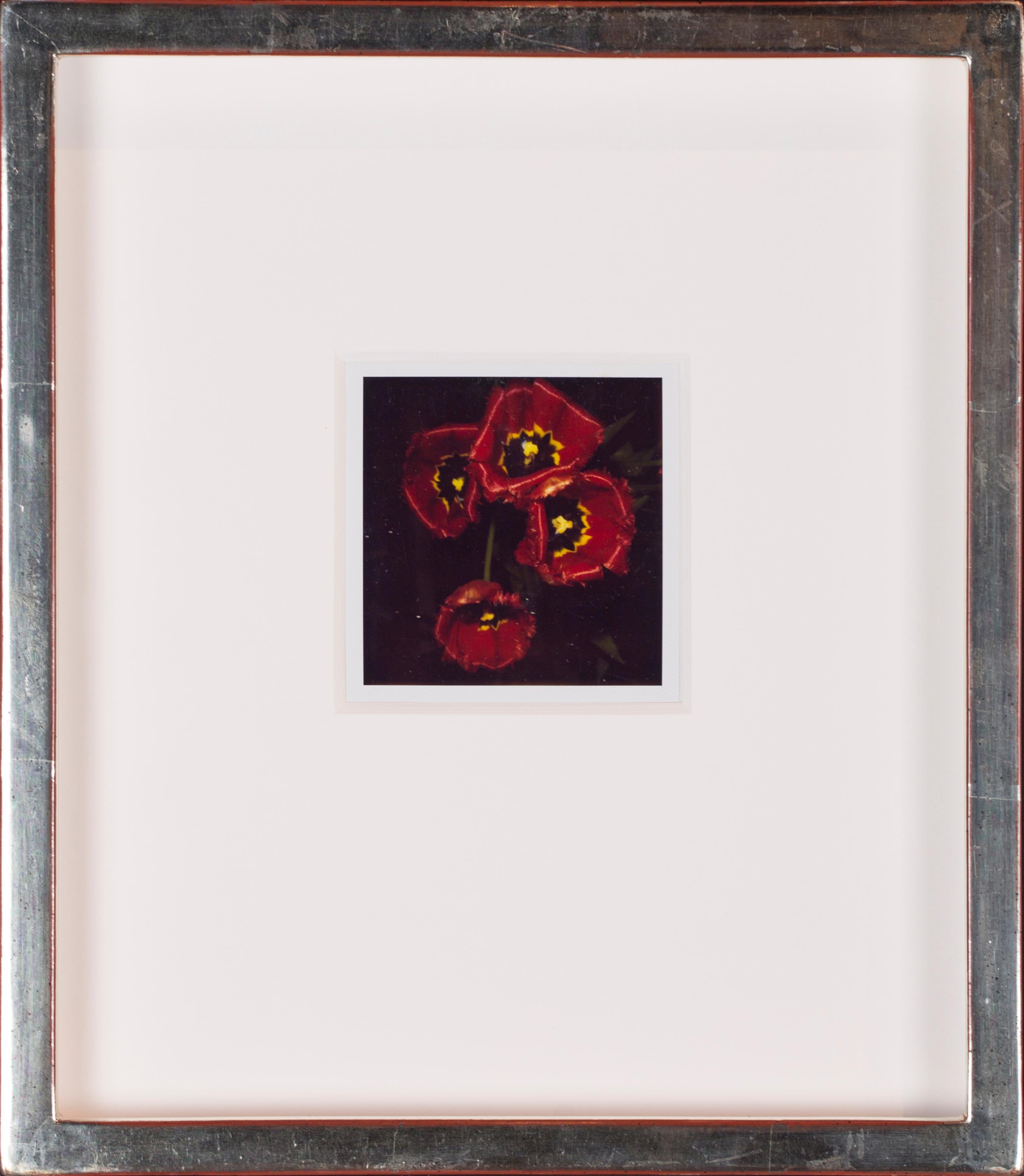 Set of 25 unique, individually custom-framed with UV filter plexiglass polaroids For Sale 12