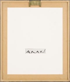 Ensemble de 25 polaroids uniques, en plexiglas à filtres UV, encadrés individuellement