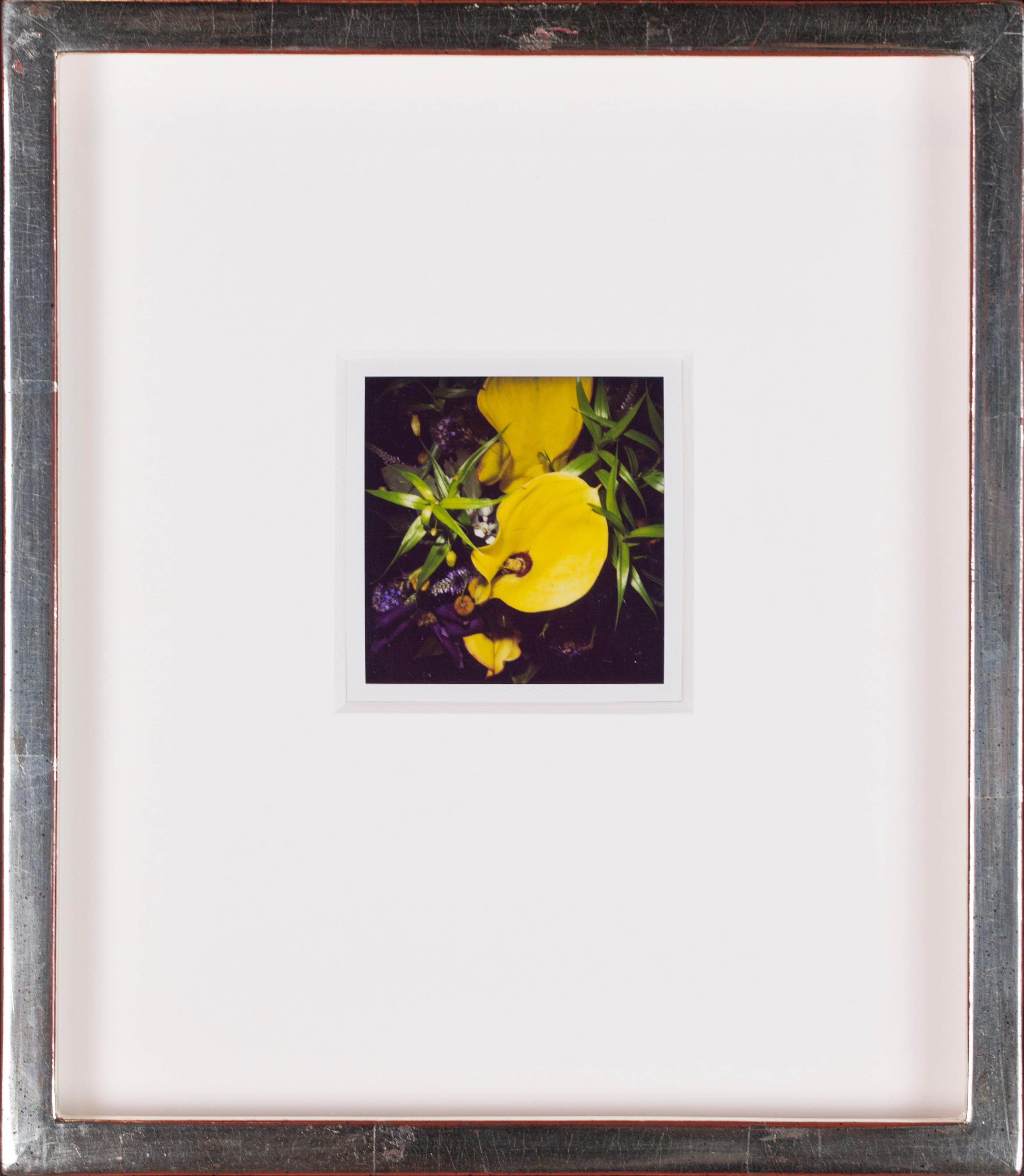 Set of 25 unique, individually custom-framed with UV filter plexiglass polaroids.  


Frame: 10 1/4  x  11 3/4 in 


Nobuyoshi Araki is a prolific photographer who has produced thousands of photographs over the course of his career. He became famous