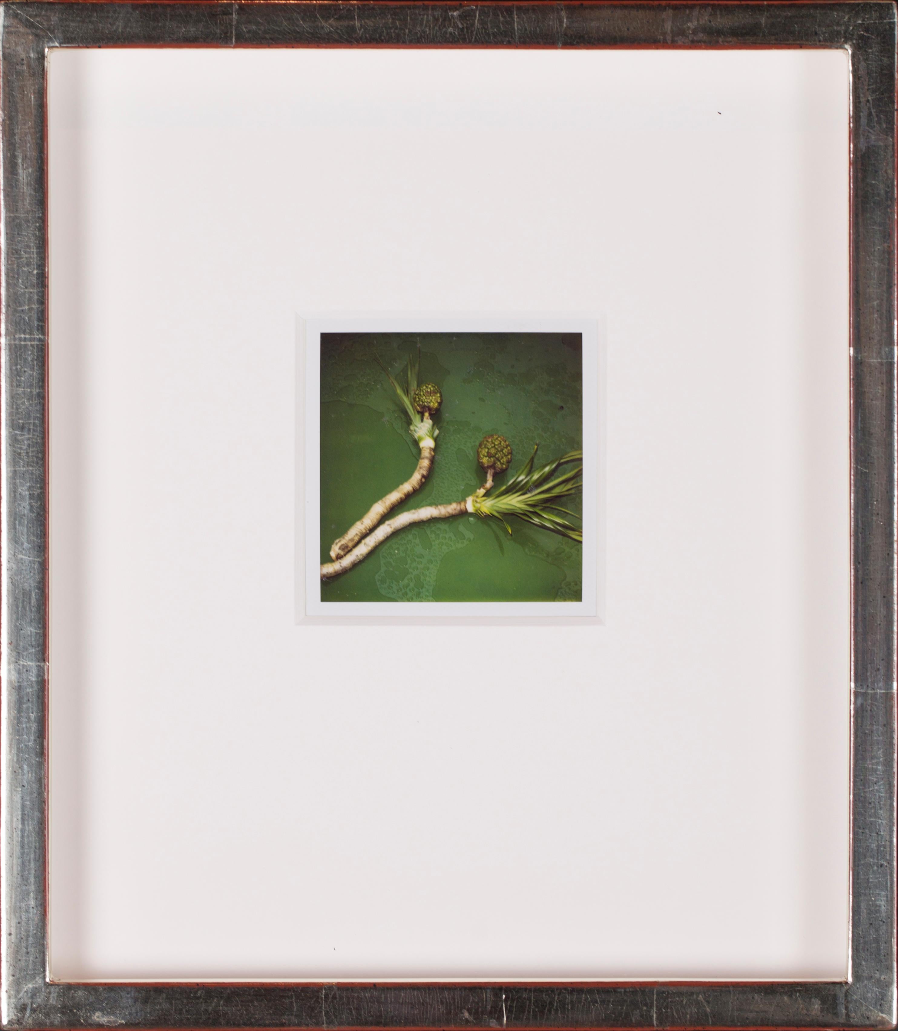 Set of 25 unique, individually custom-framed with UV filter plexiglass polaroids For Sale 3