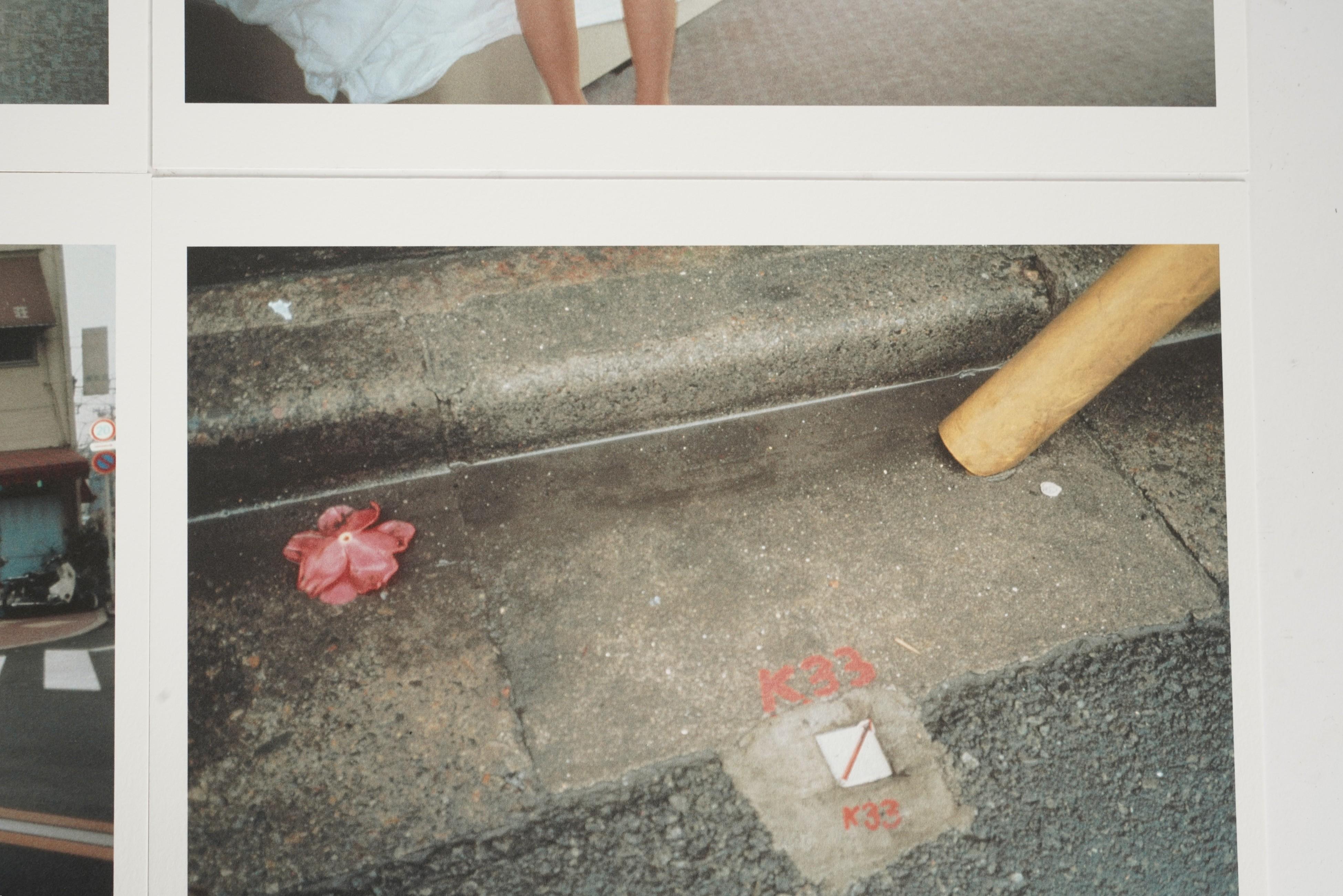 Nobuyoshi Araki Signierte limitierte Auflage Sexual Desire Portfolio I komplettes Set im Angebot 8