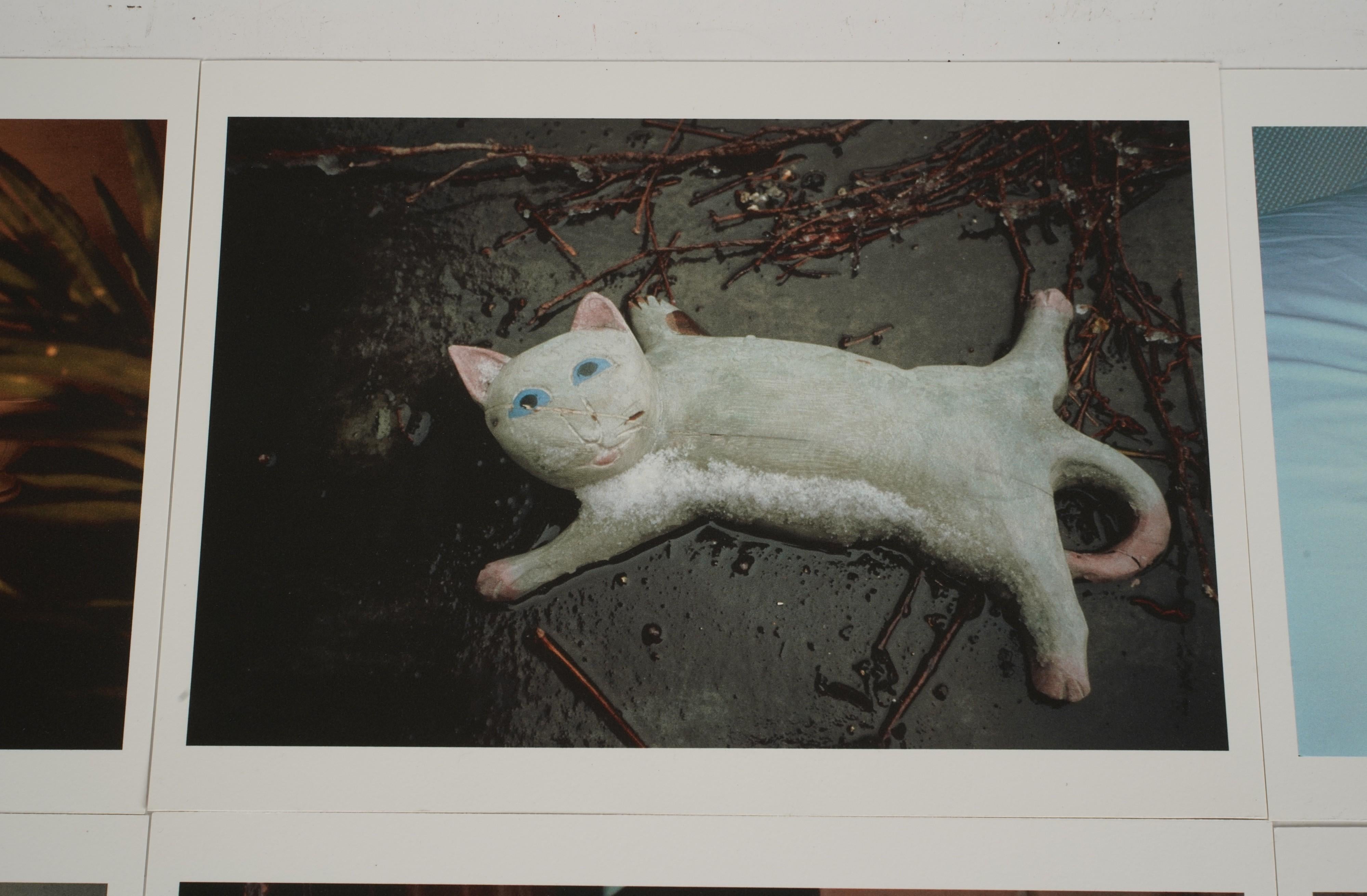 Nobuyoshi Araki Signierte limitierte Auflage Sexual Desire Portfolio I komplettes Set (Moderne) im Angebot