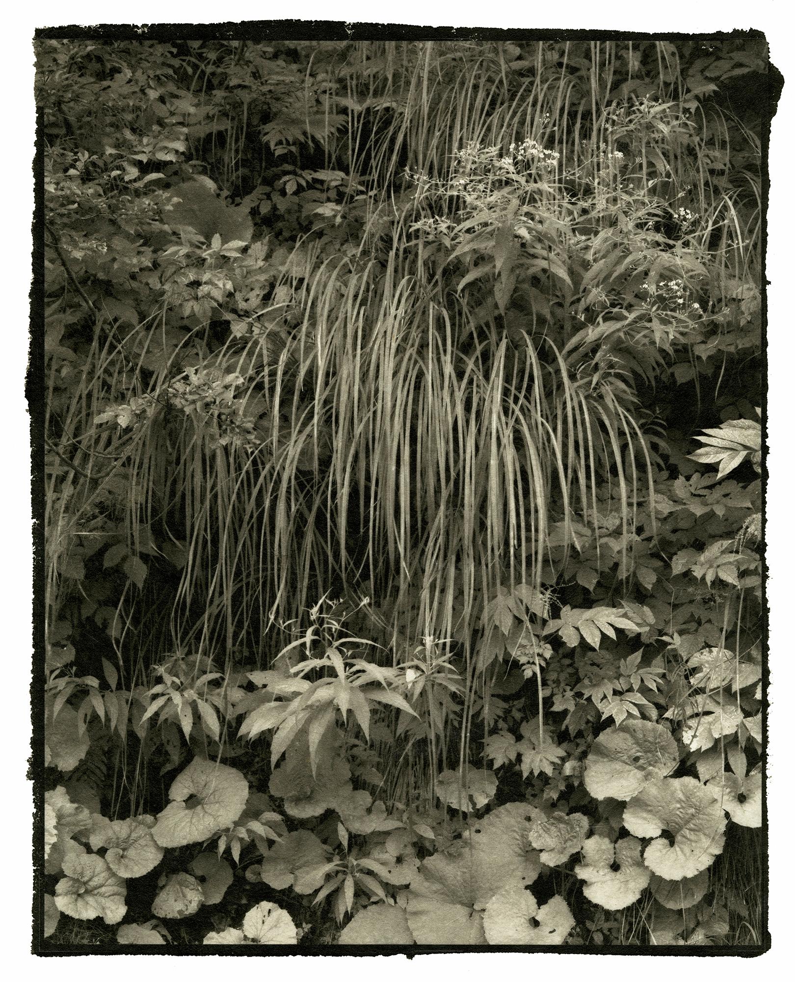 Nobuyuki Kobayashi Landscape Photograph - Kei 1 - 21st Century, Platinum/Palladium Print, Contemporary B&W photography