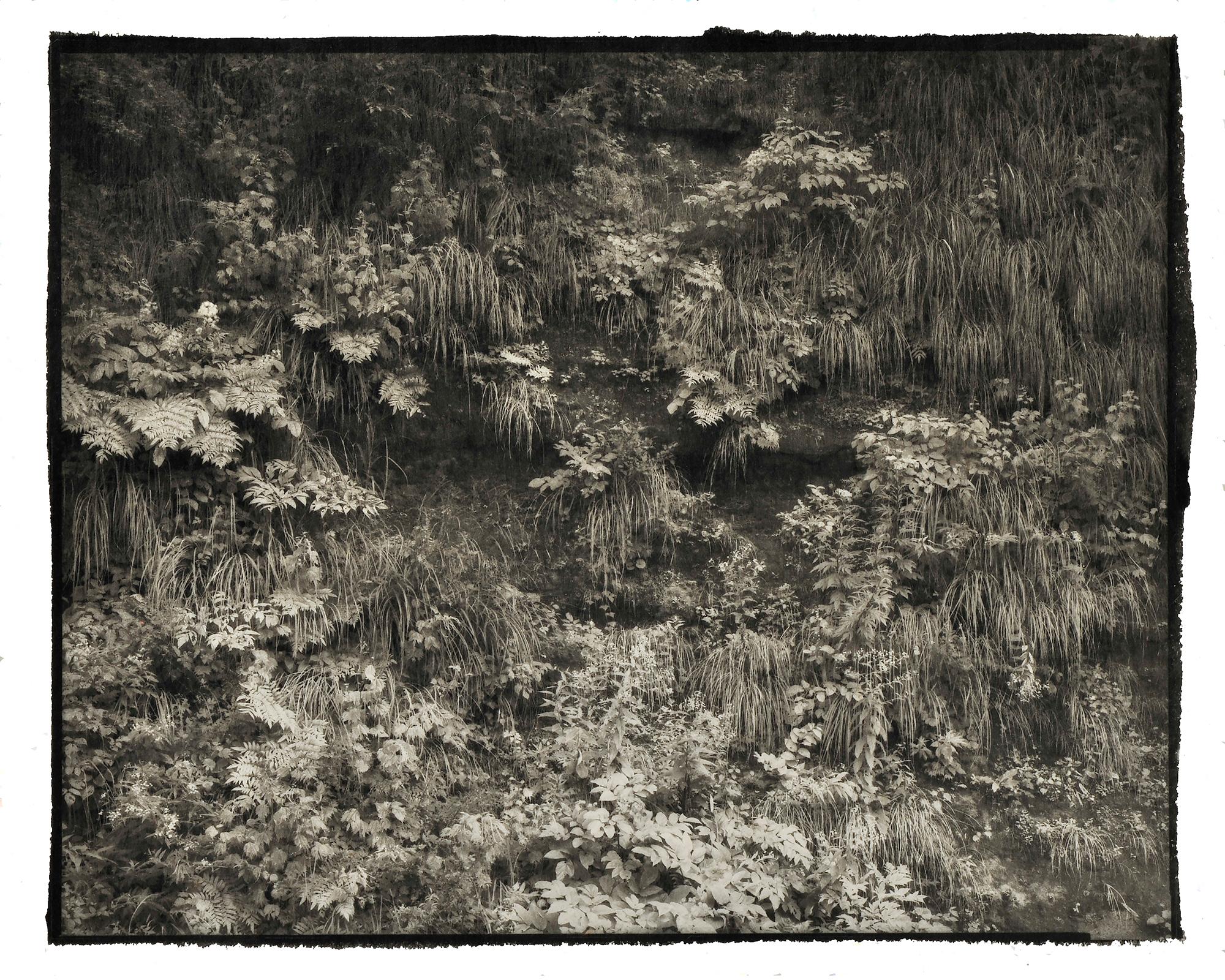 Nobuyuki Kobayashi Landscape Photograph - Kei 2 - 21st Century, Platinum/Palladium Print, Contemporary B&W photography