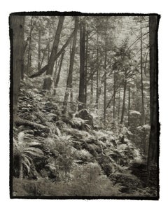 Ki 2 - 21st Century, Platinum/Palladium Print, Contemporary B&W photography