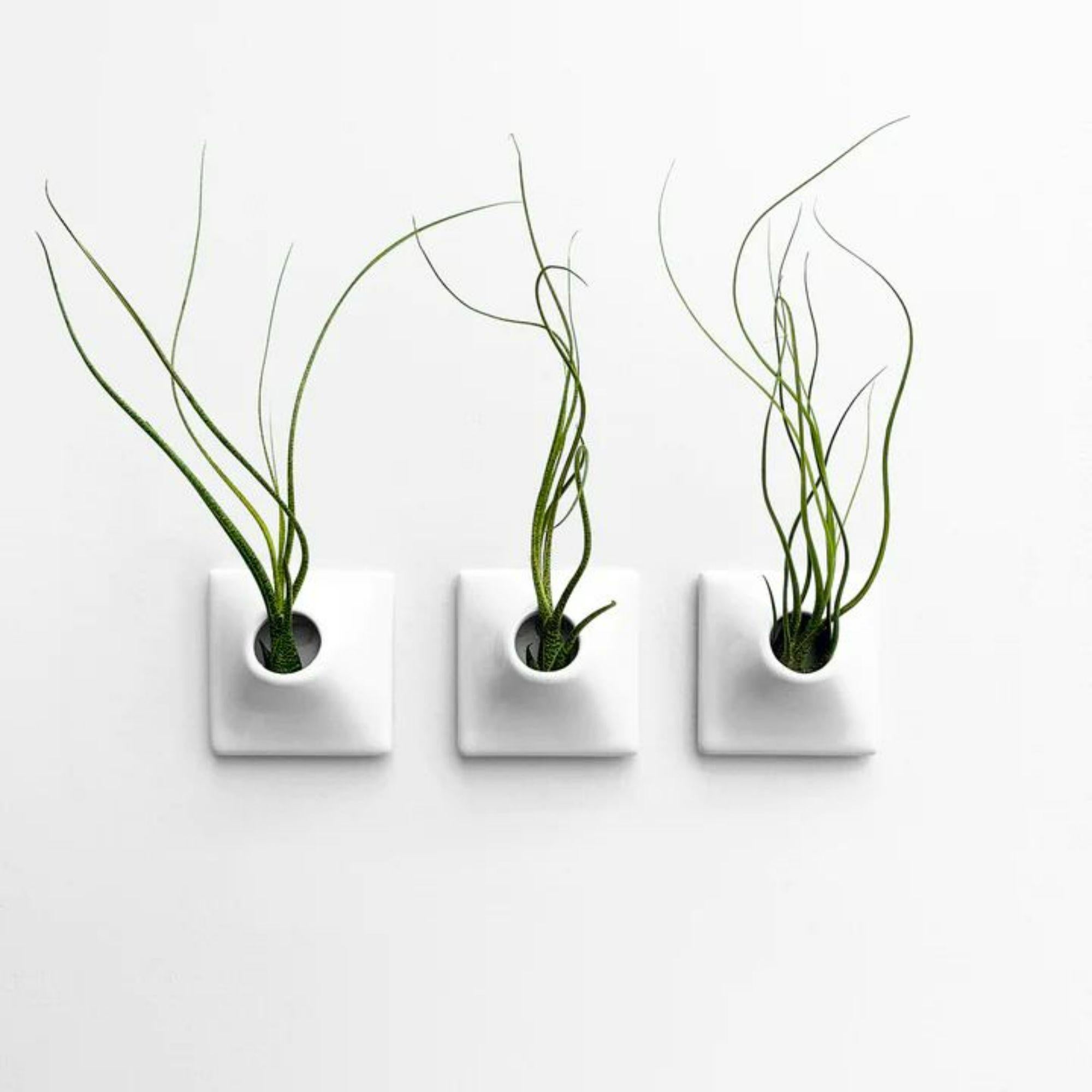 white wall planters