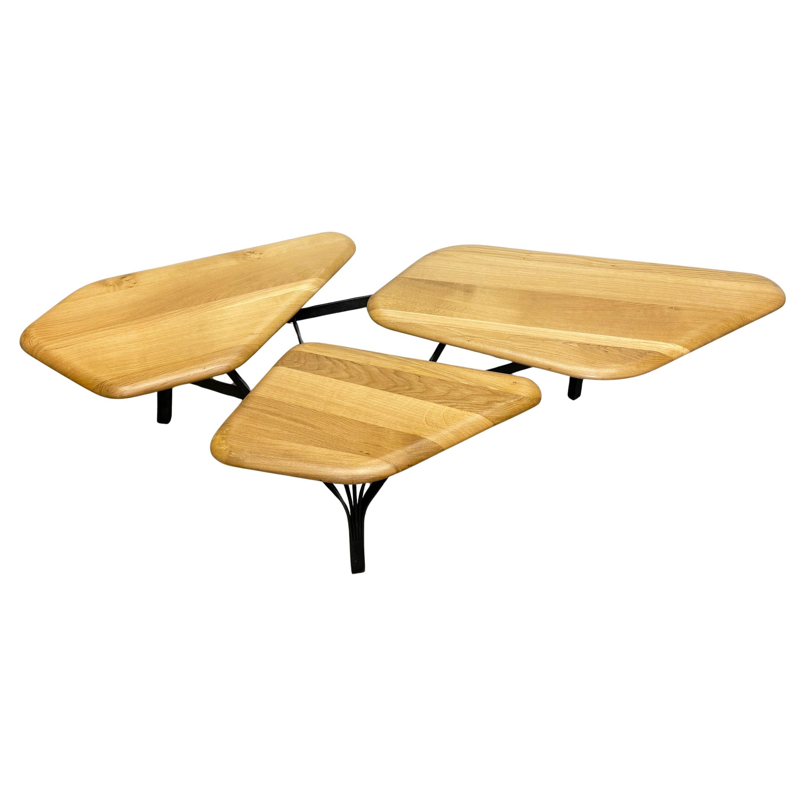 Noé Duchaufour-Lawrance Orgnic Modern Borghese Coffee Table, France