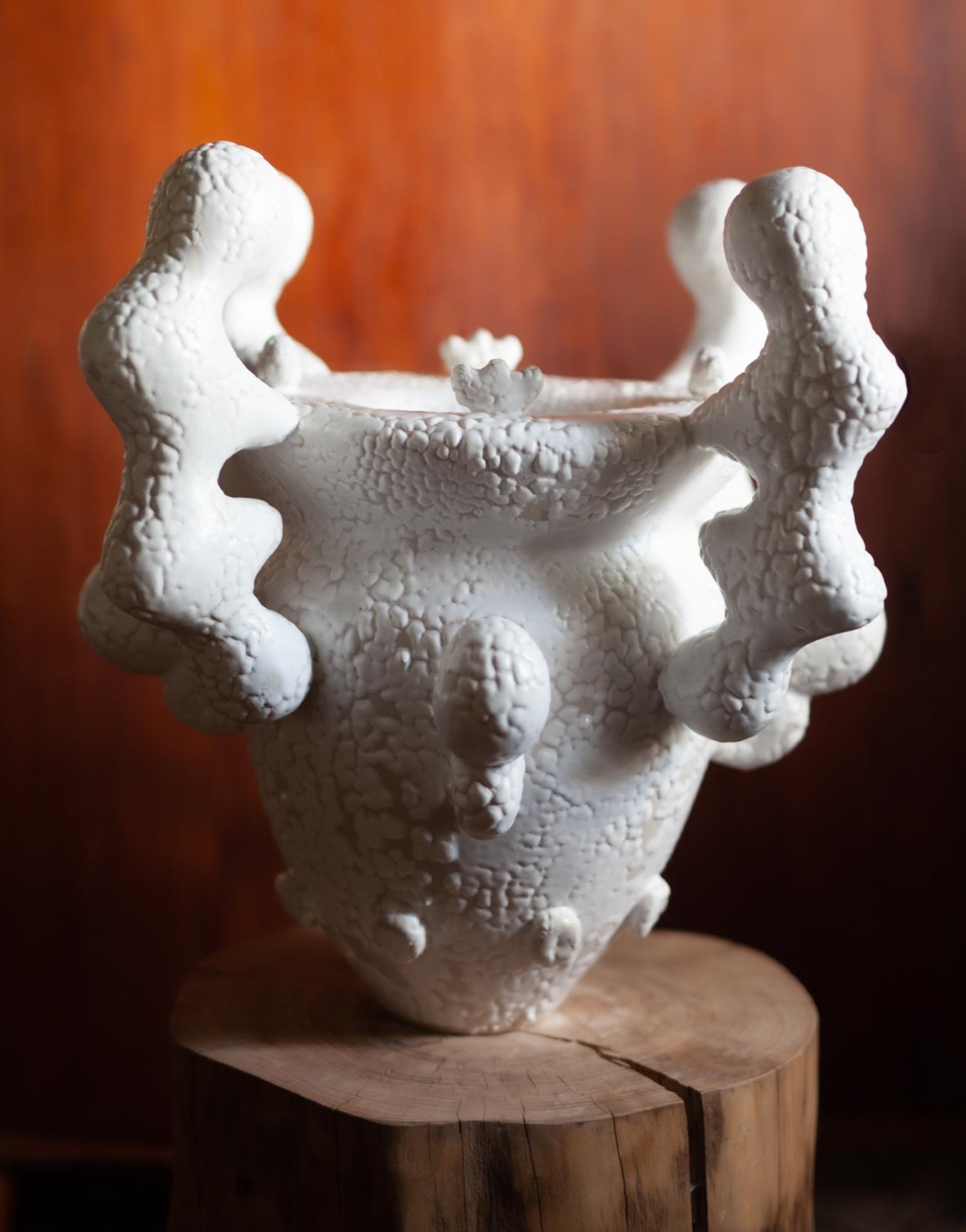 Jomon 2 For Sale 1