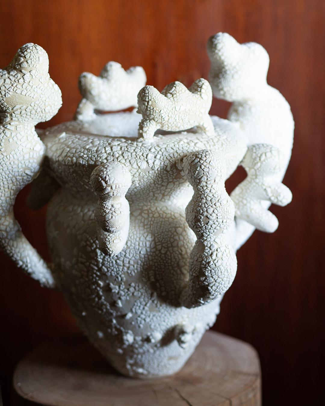 Jomon 5 For Sale 1