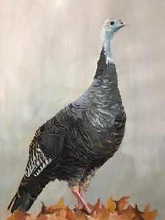 Lady Turkey, birds, nature, realism, gray and orange