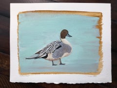 Northern Pintail, birds, nature, realism, duck, gray brown blue