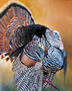 Portrait of a Turkey, birds, nature, feathers realism, orange, blue, gray, black