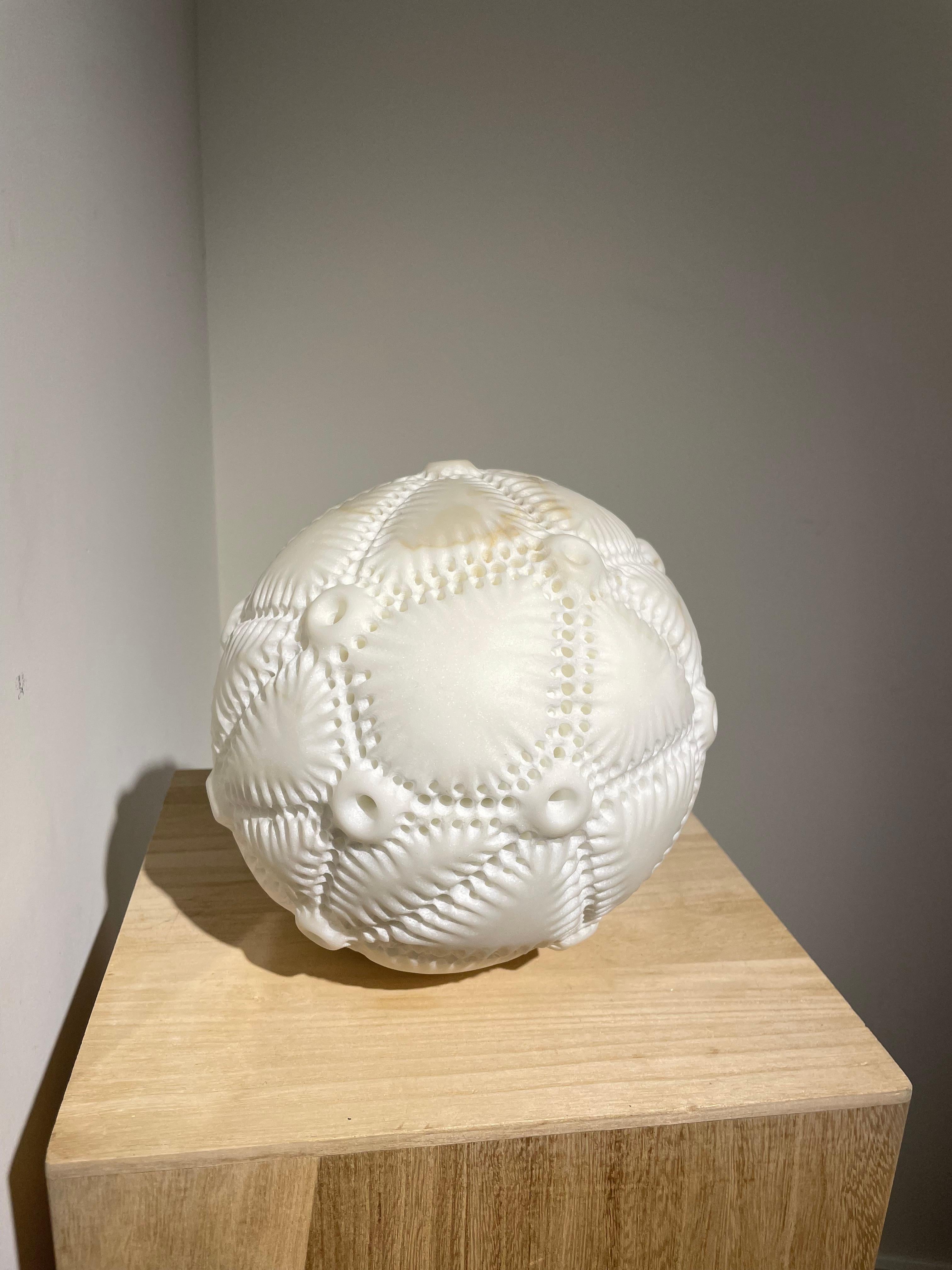 Cicatrices - Siglo XXI, Escultura de mármol, Formas orgánicas, inspiradas en la naturaleza - Sculpture de Noemi Palacios