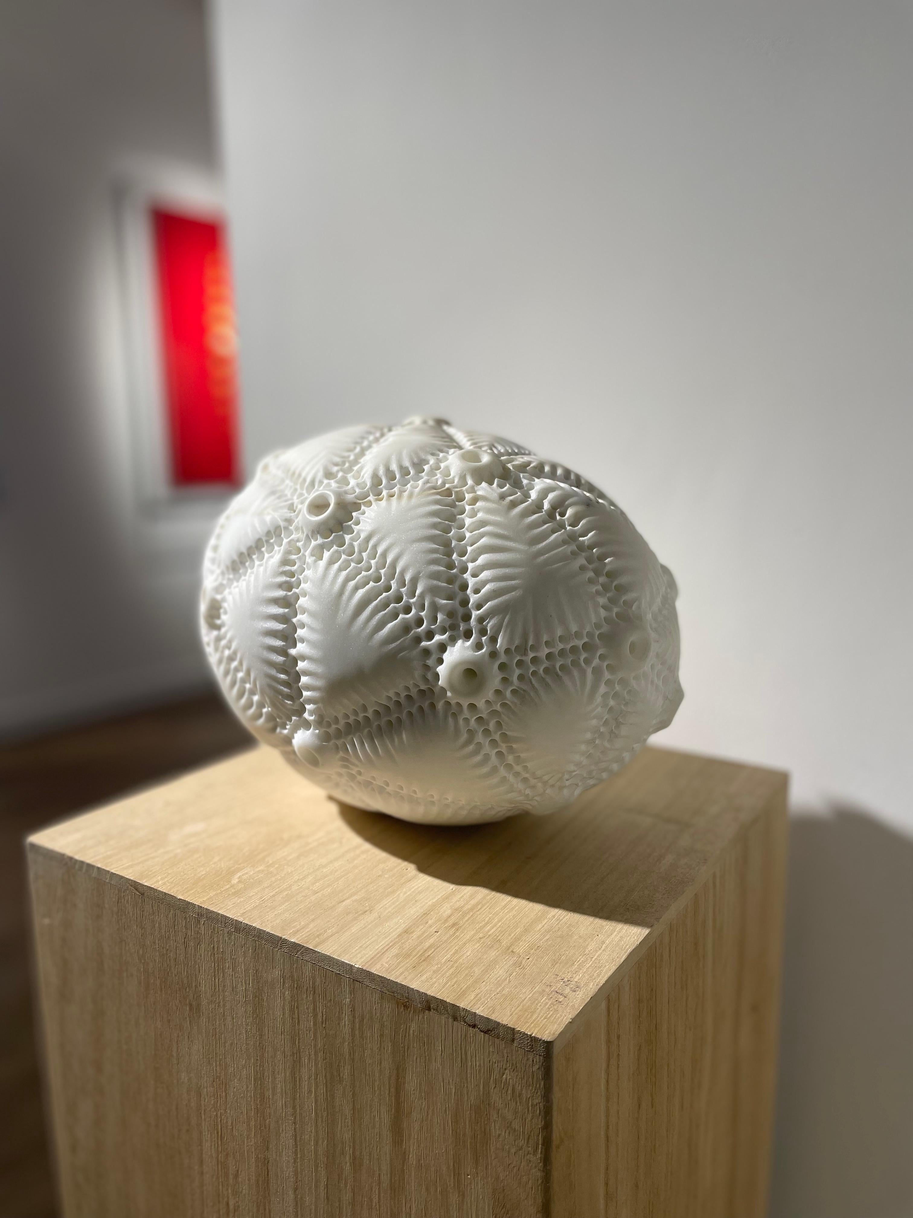 Cicatrices - Siglo XXI, Escultura de mármol, Formas orgánicas, inspiradas en la naturaleza en venta 1