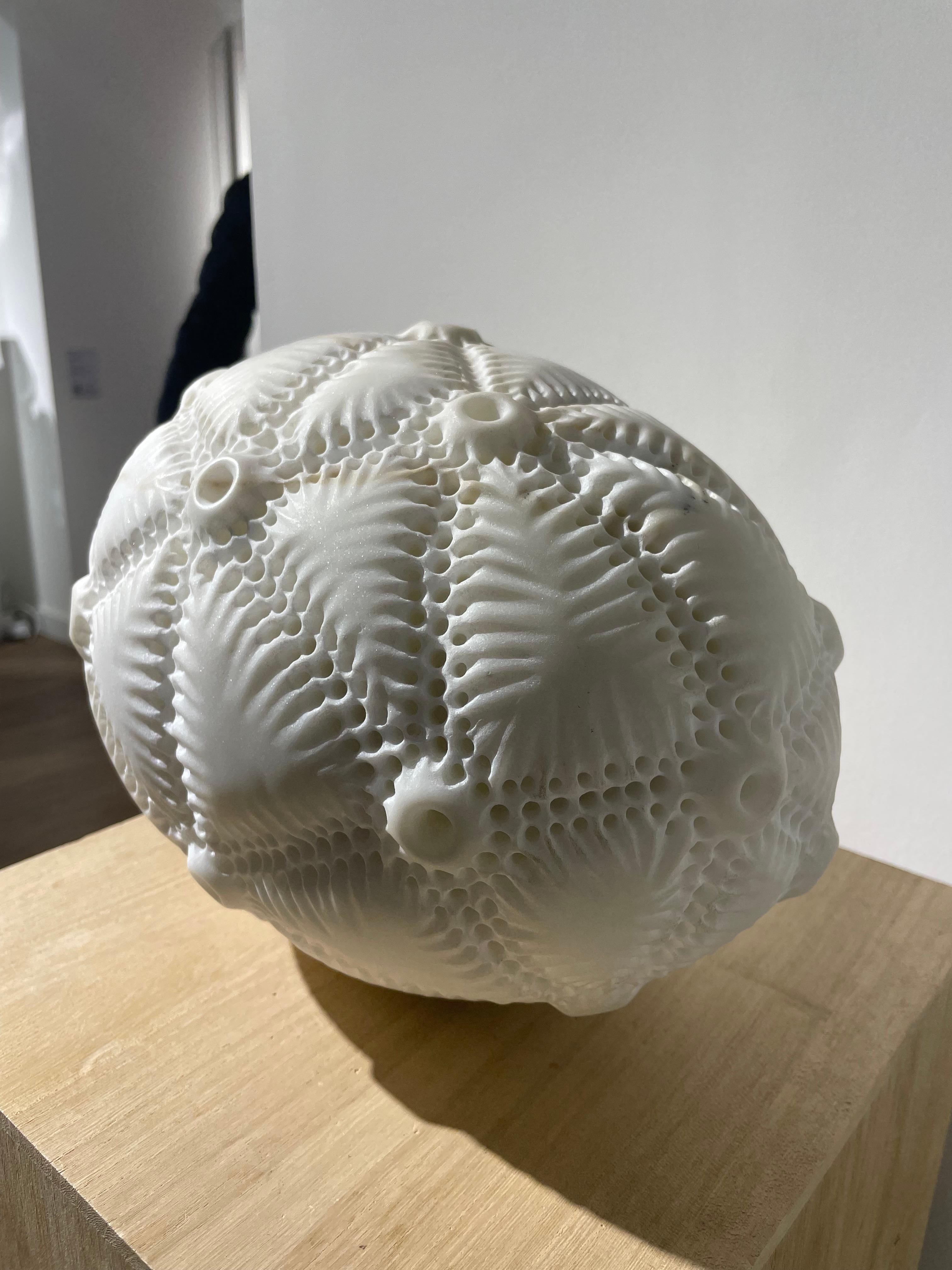 Cicatrices - Siglo XXI, Escultura de mármol, Formas orgánicas, inspiradas en la naturaleza en venta 2