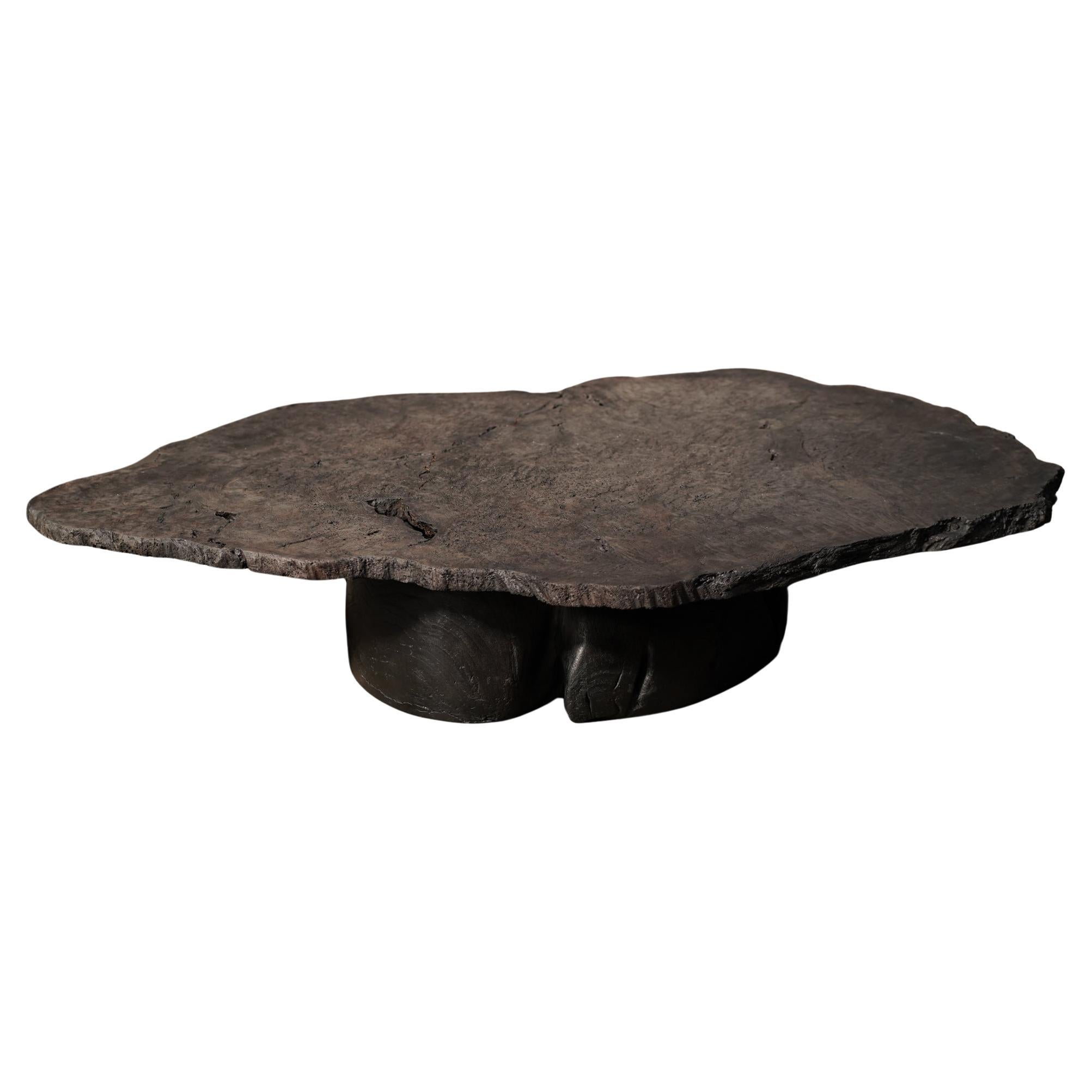 Noir Coffee Table with Organic Top and Sculptural Stump Base