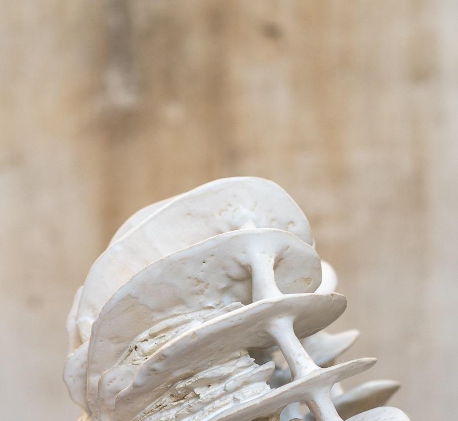 Smaltato Vaso Nolia in gres con smaltatura bianca opaca di Kallia Panopoulou in vendita