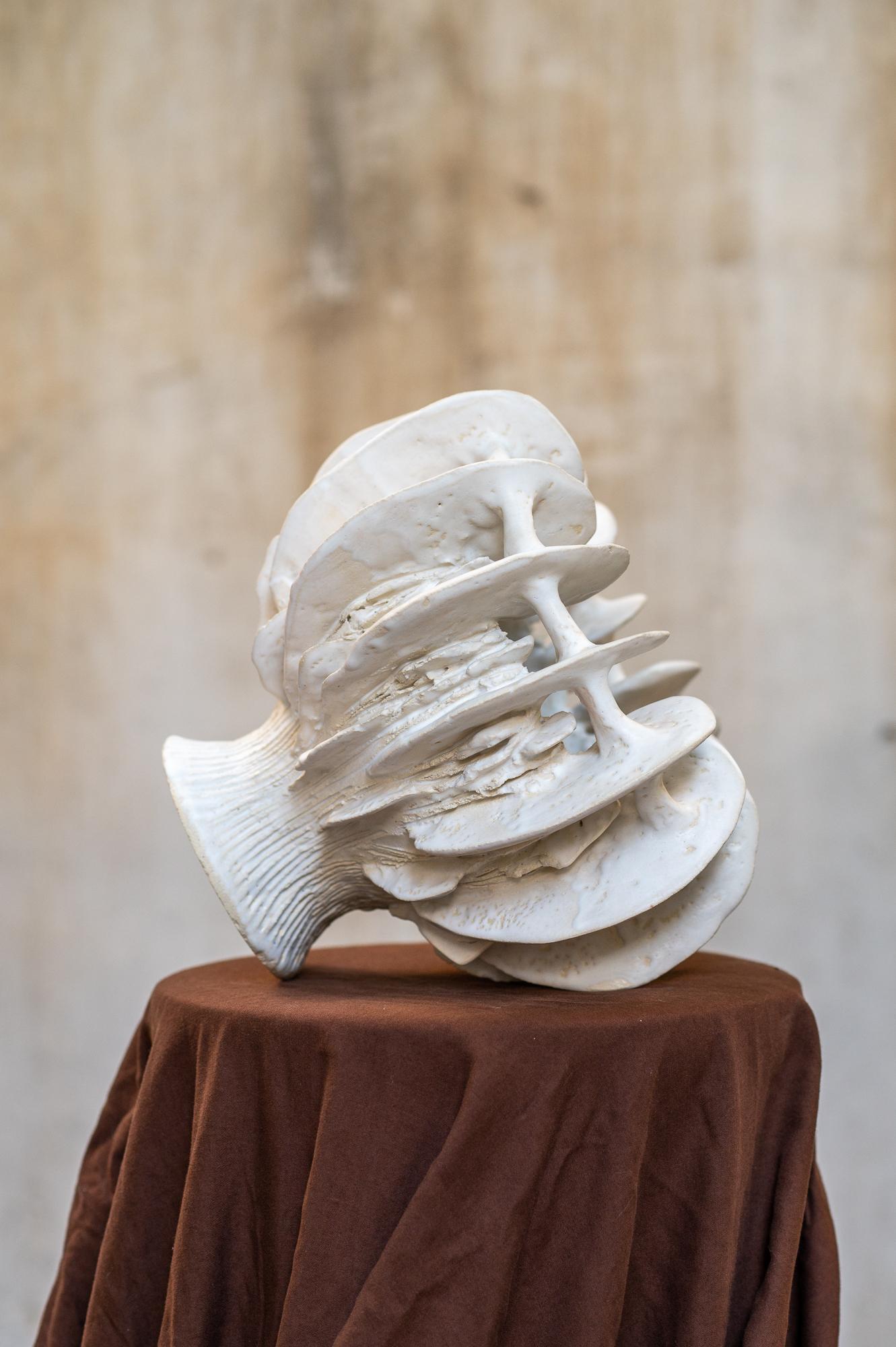 Nolia Vase in Stoneware with Matte White Glazing by Kallia Panopoulou