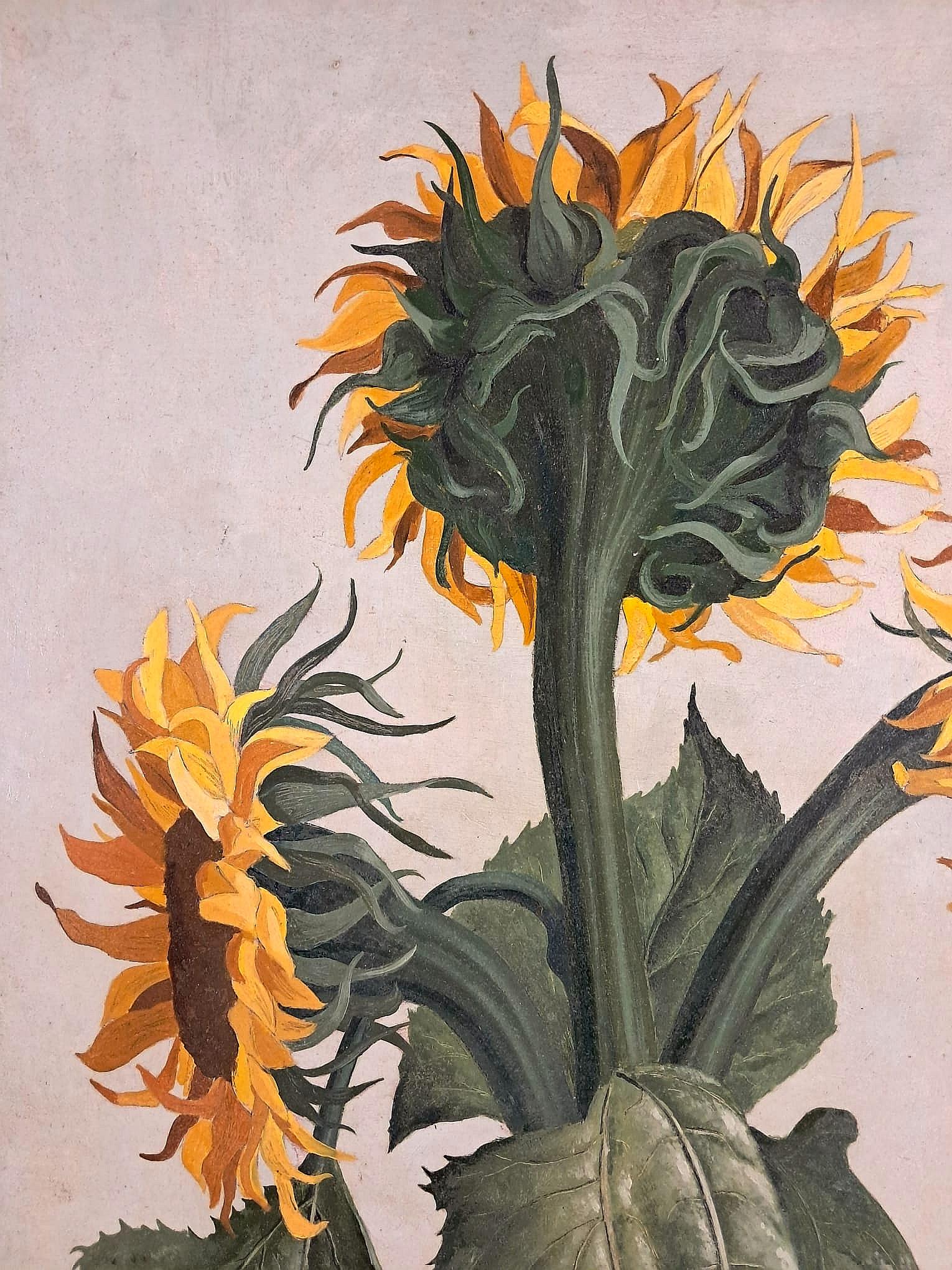 Sunflowers - Large Mid 20th Century Modern Belgian Surreal Still Life Painting For Sale 1