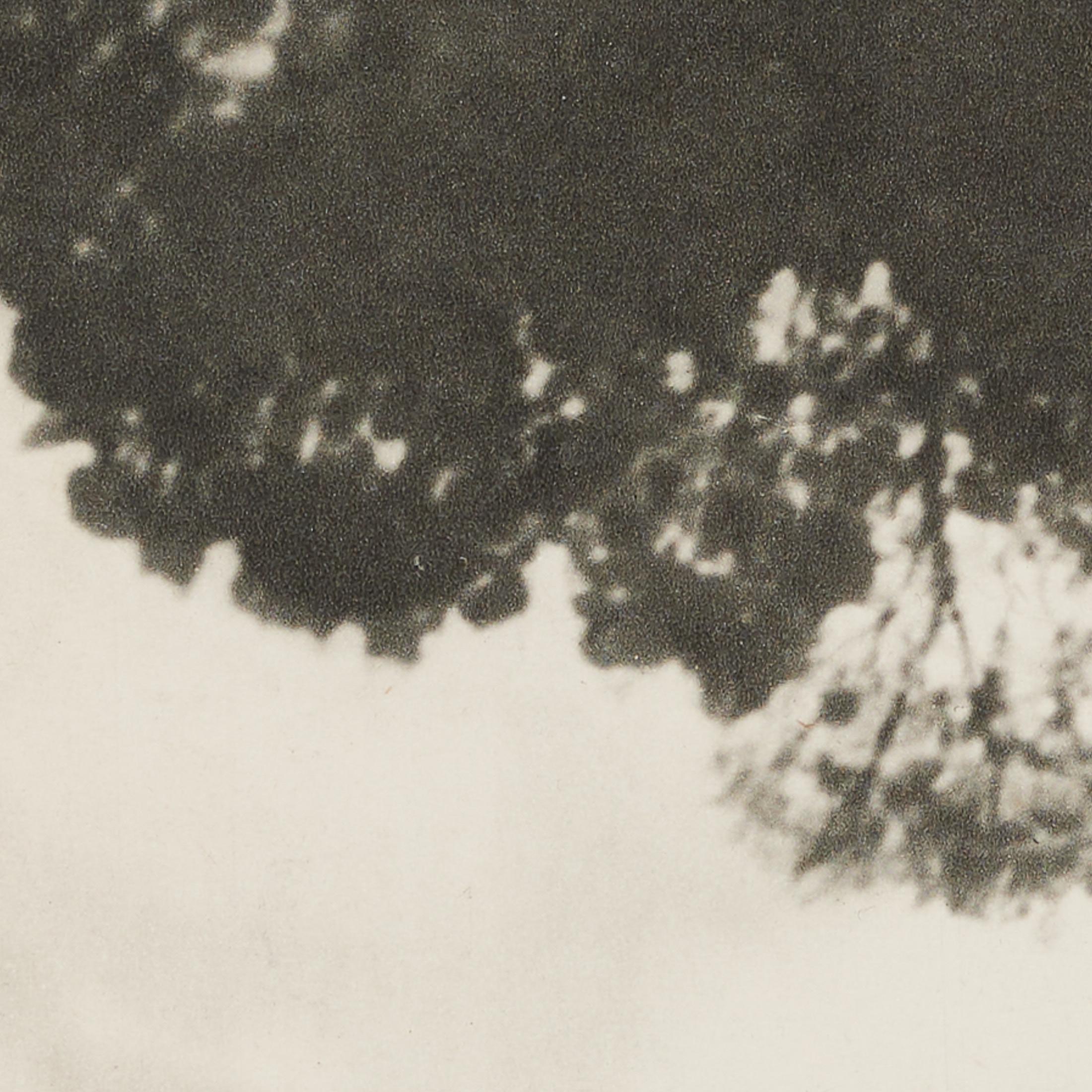 Nora Dumas 1930s Heliogravure, Verve Magazine 1937, encadré en vente 1