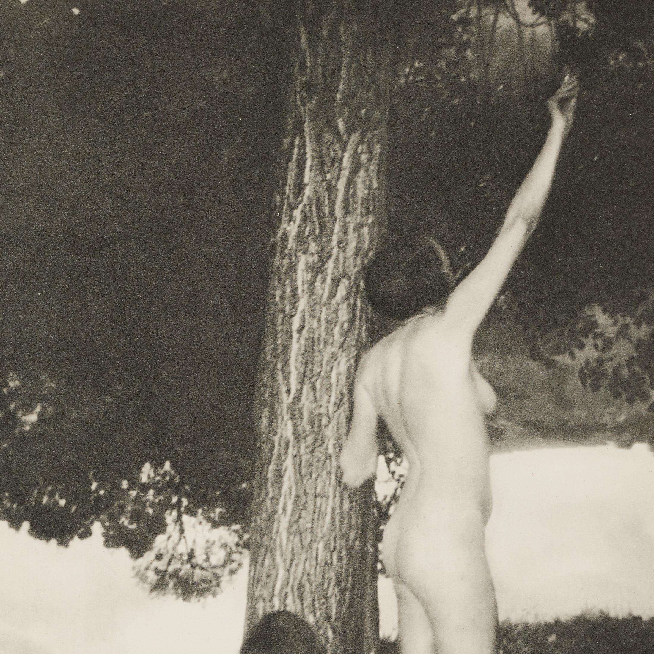 Nora Dumas 1930s Heliogravure, Verve Magazine 1937, encadré en vente 2