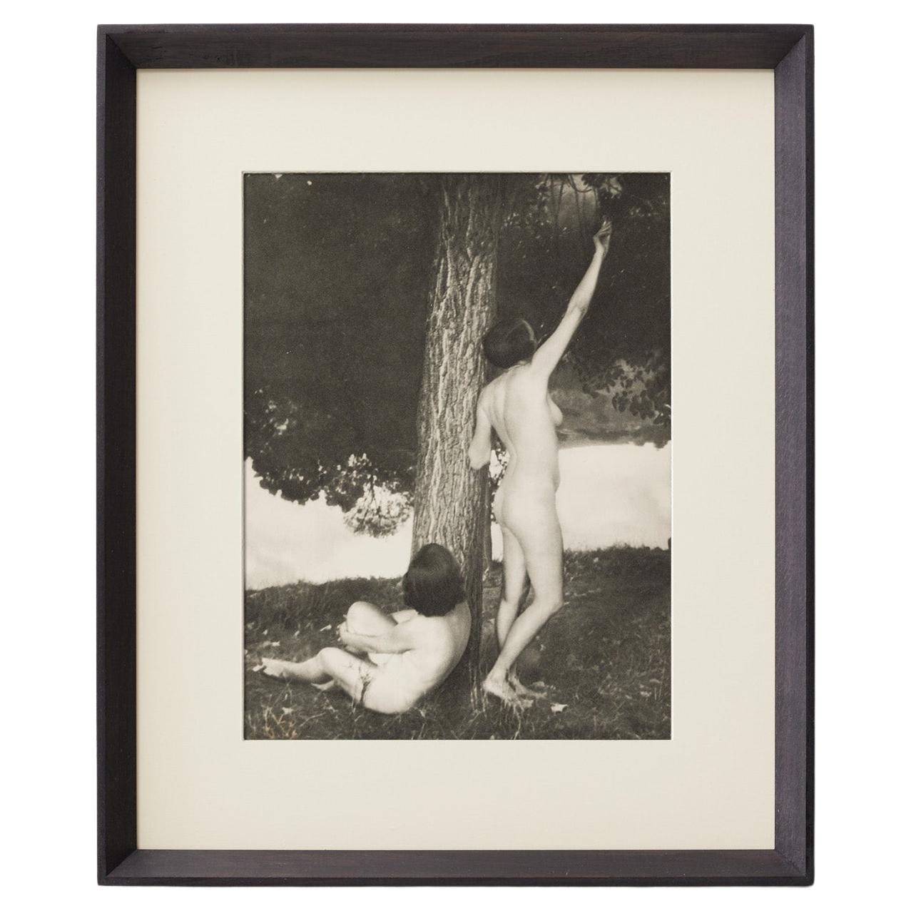 Nora Dumas 1930s Heliogravure, Verve Magazine 1937, encadré