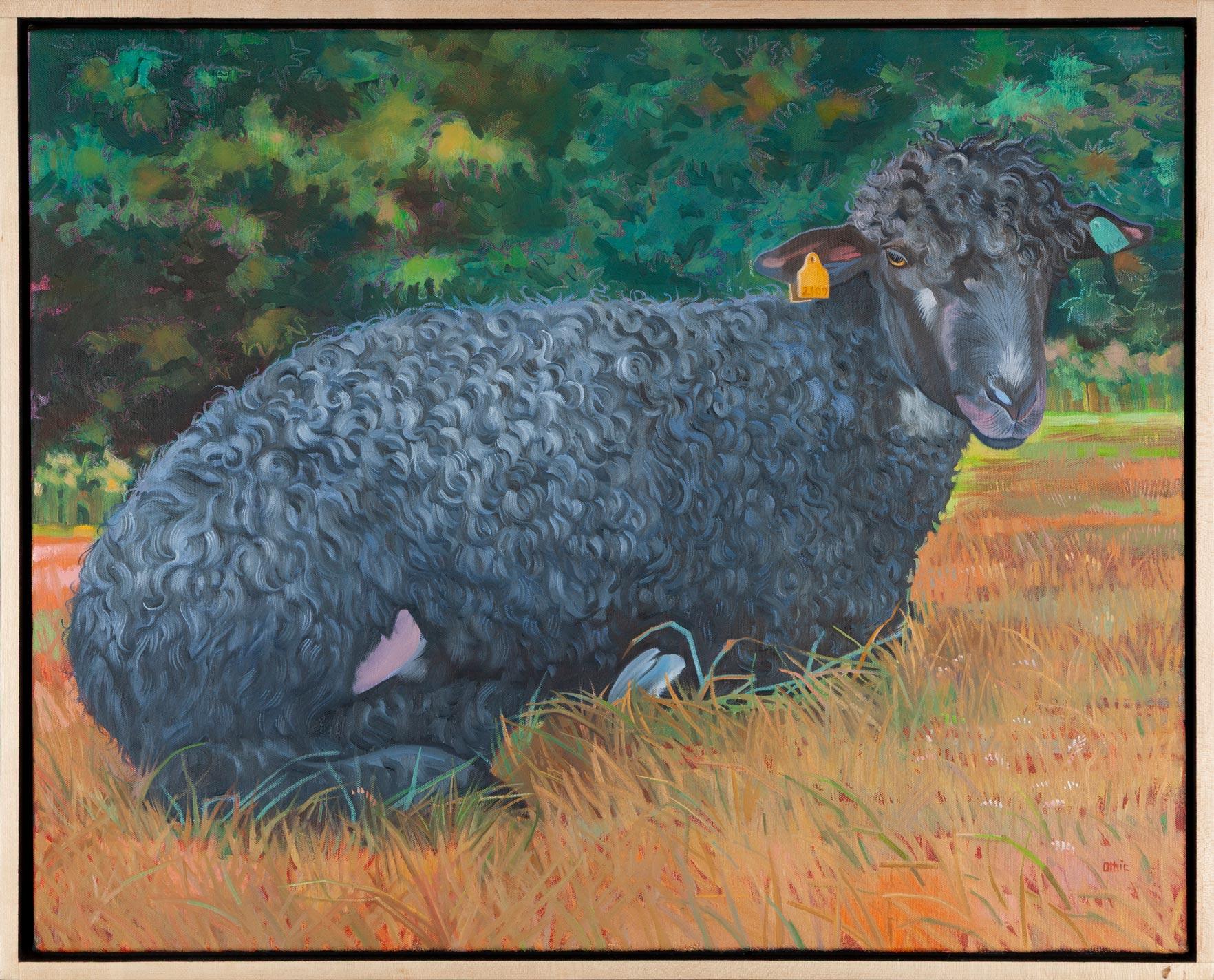 Black Sheep (big)