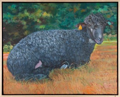 Black Sheep (big)