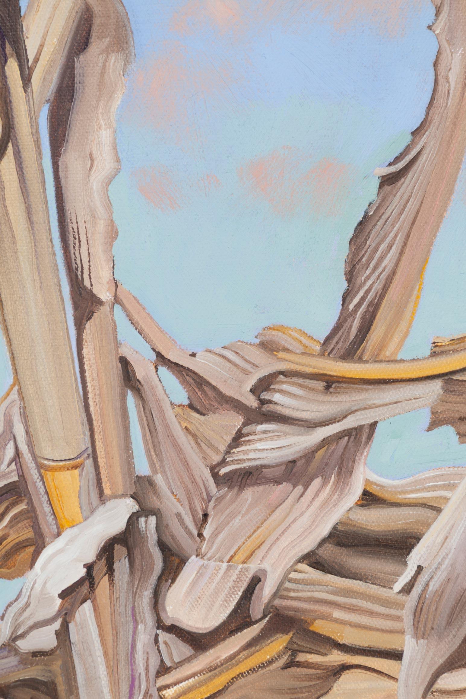Corn Stubble, Blue Sky - American Realist Painting by Nora Othic