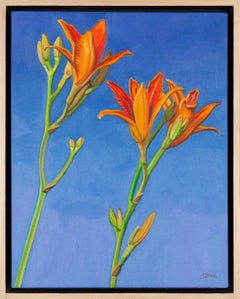 Day Lilies