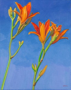 Day Lilies