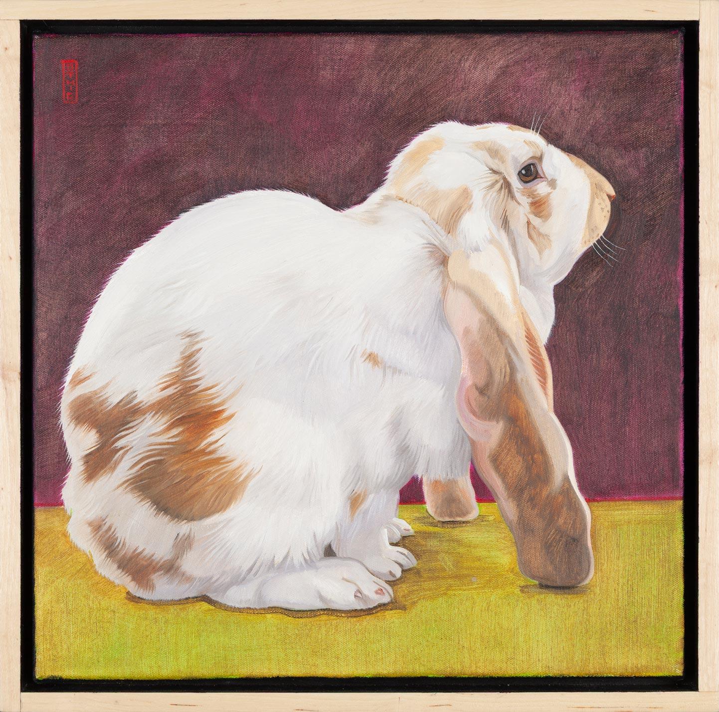 English Lop