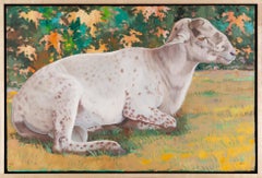 Hair Sheep Ram