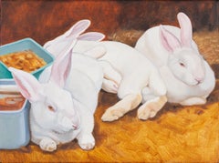 Three Domestic Rabbits