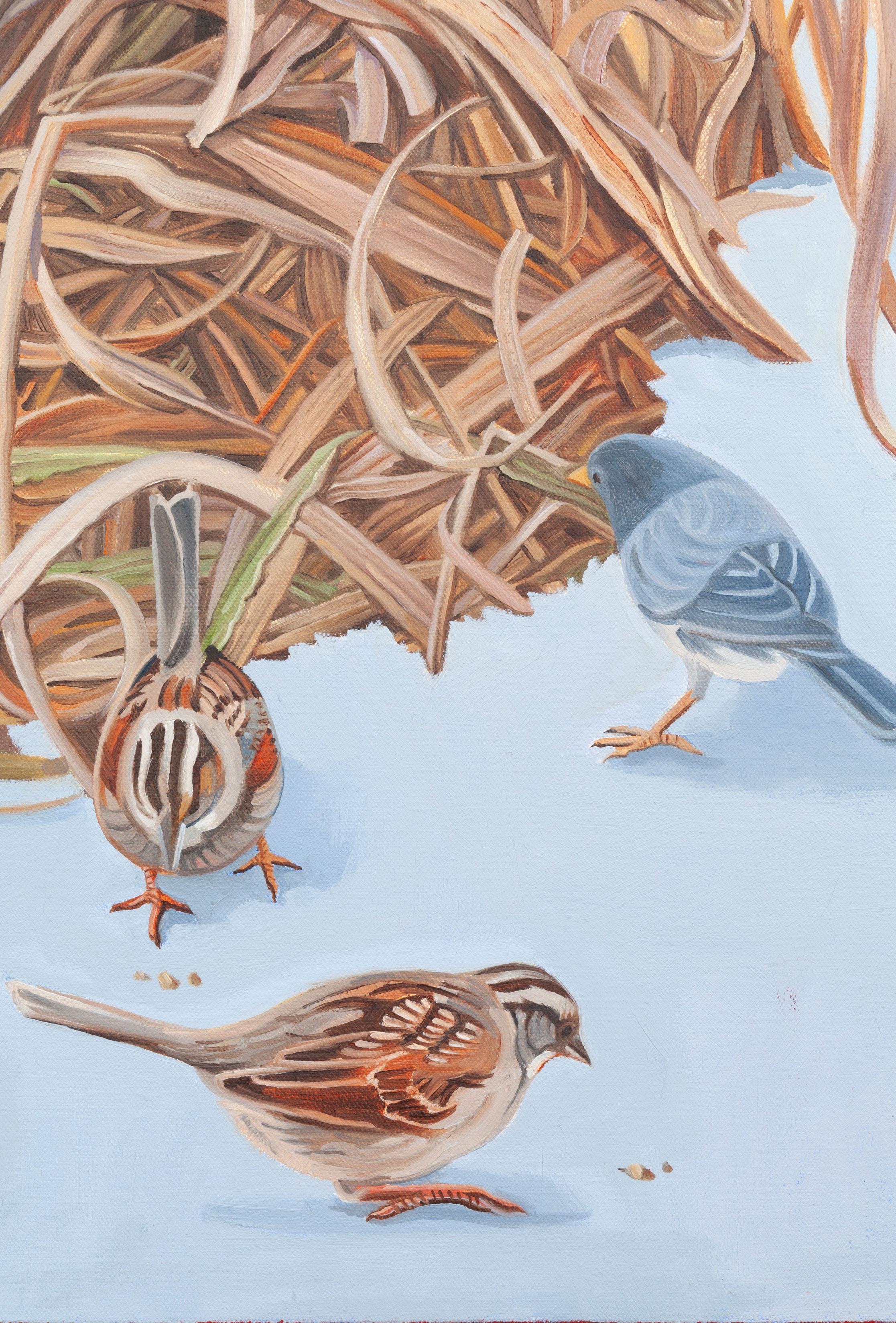 A. Winter (Ghiandaia azzurra) - Painting Realismo americano di Nora Othic