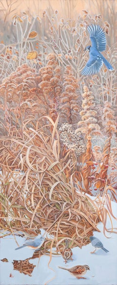A. Winter (Ghiandaia azzurra)