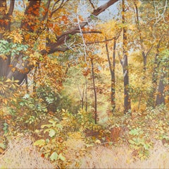 Woods in September