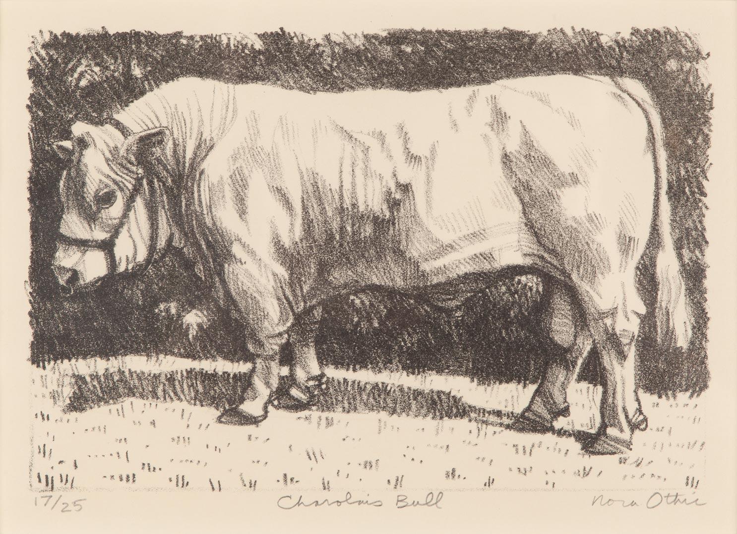 Nora Othic, 'Charolais Bull', c. 2020, Lithograph, 17 of 25, Signed, Framed