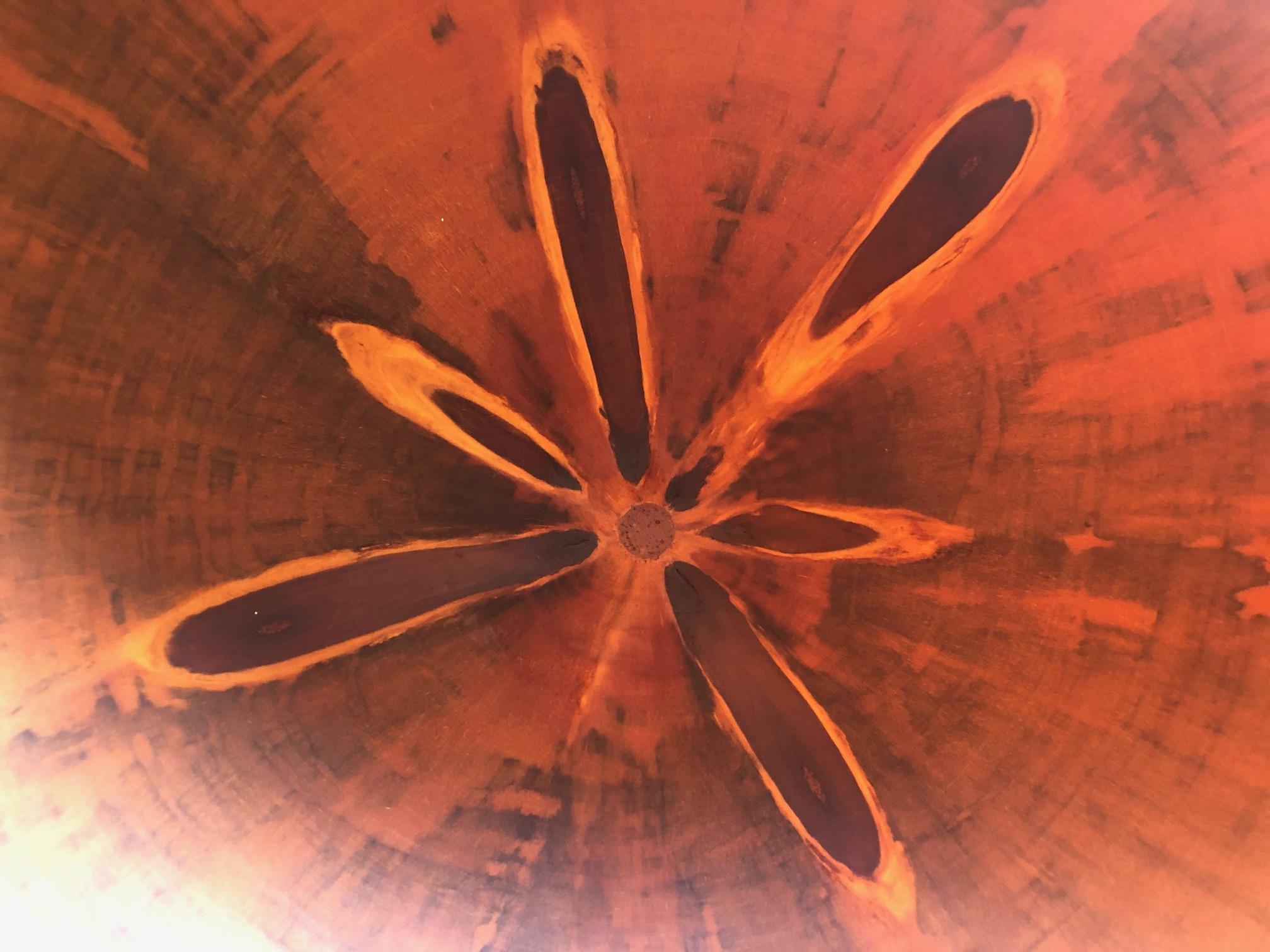 Lichtdurchlässige Schale aus Norfolk Island Pine von Gene Bickerstaff 2