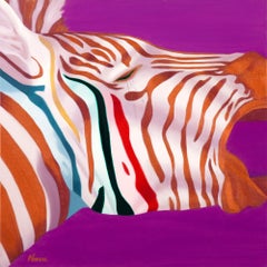 Zebra Il Rosso