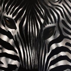 Zebra Rencontre