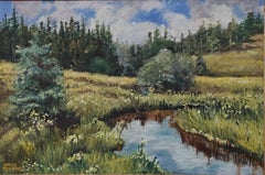 California Spring Landscape