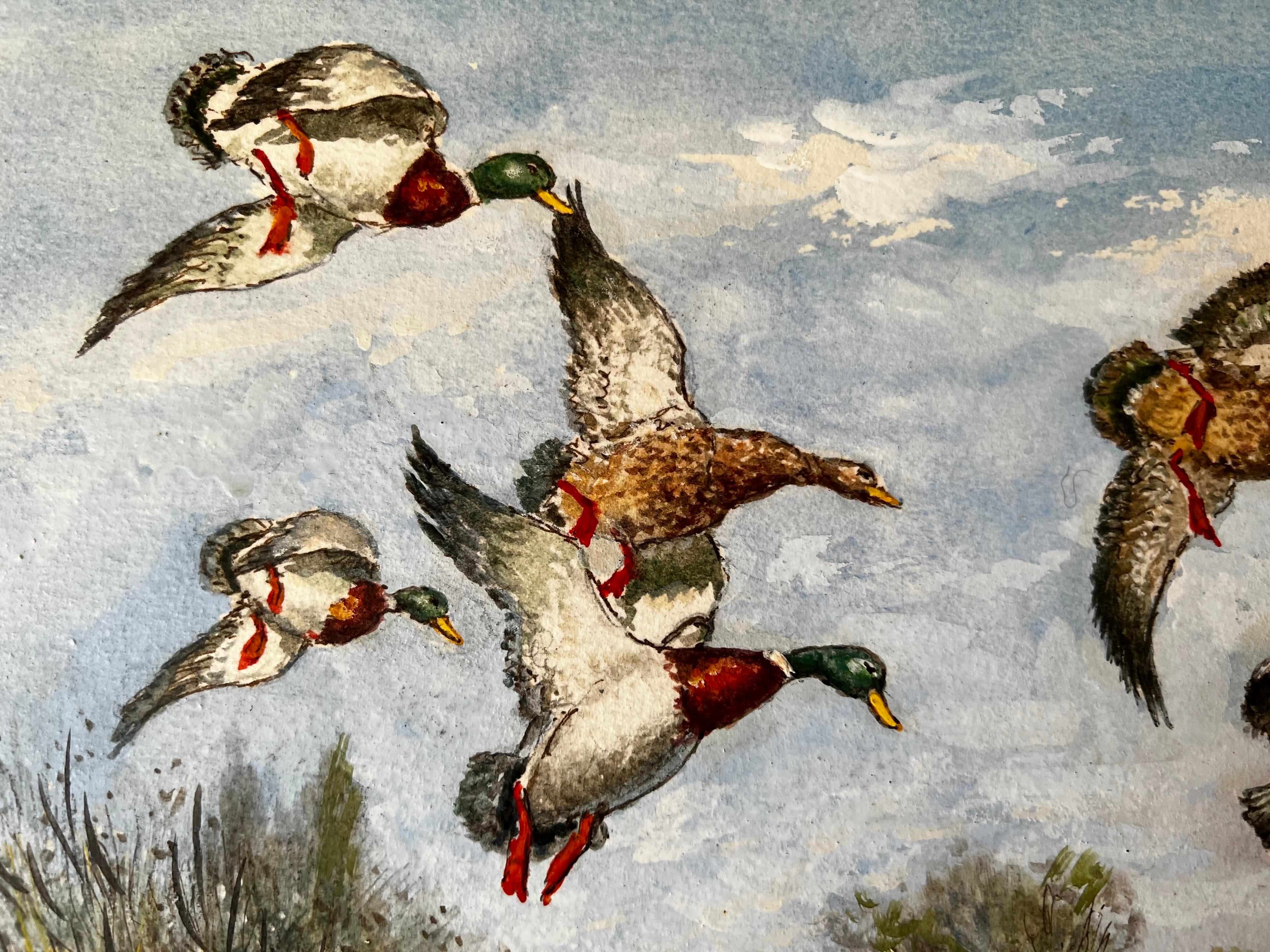 Mallard Ducks Dropping into The Ember Surrey River For Sale 1