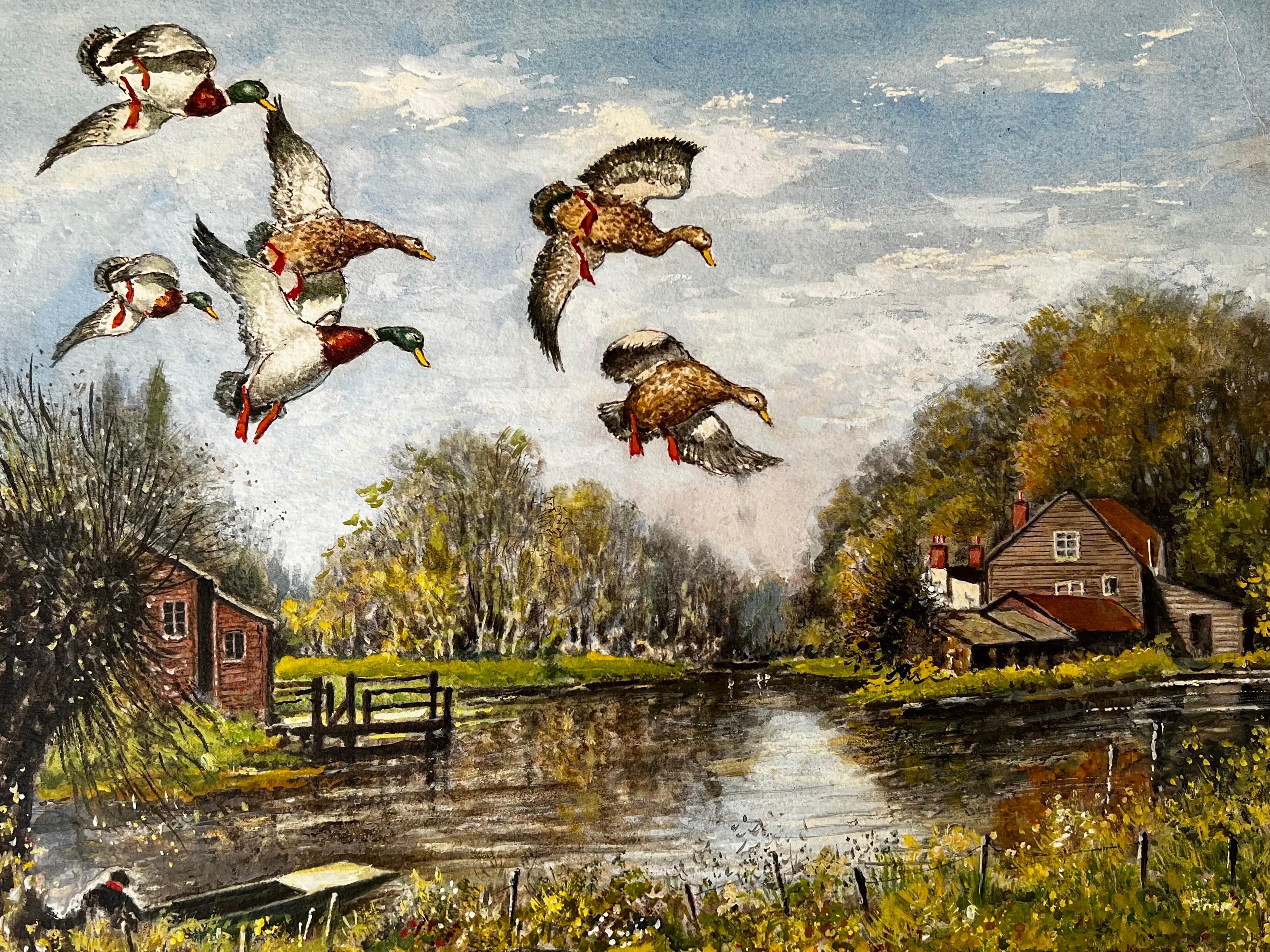 Norman A Olley Figurative Painting - Mallard Ducks Dropping into The Ember Surrey River