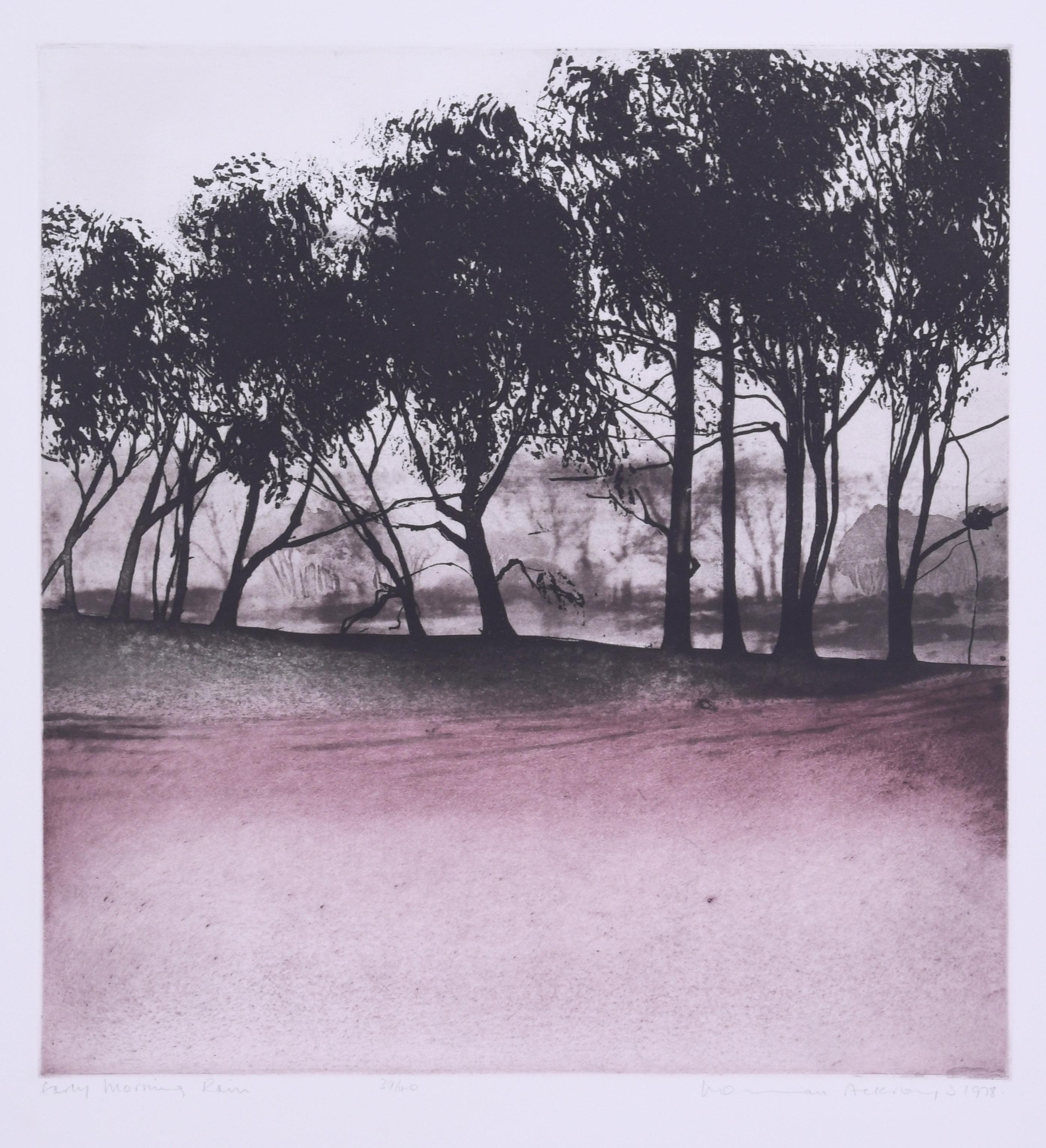 Norman Ackroyd Landscape Print - Early Morning Rain