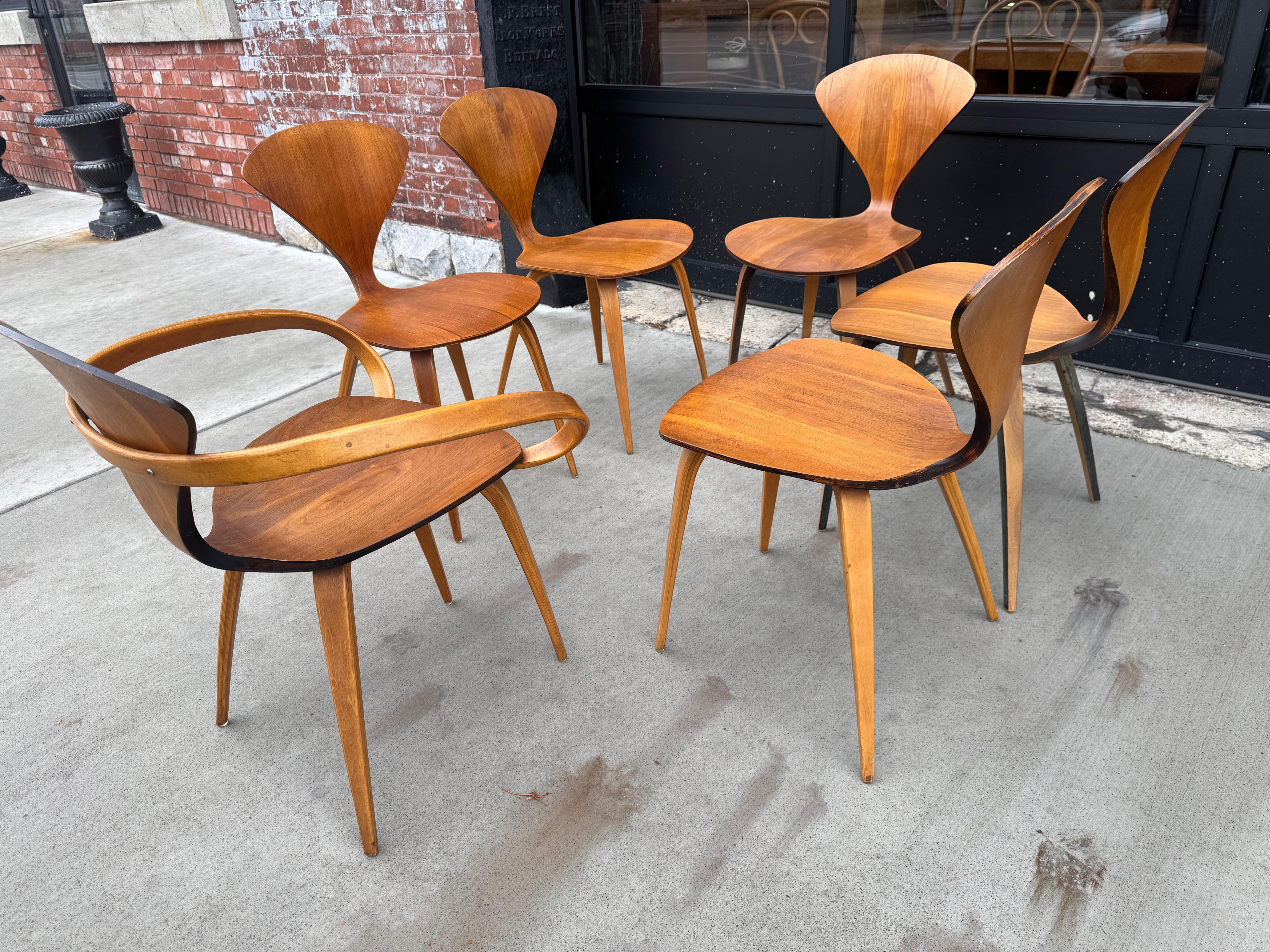 Mid-Century Modern Norman Cherner Plycraft Ensemble de 6 chaises de salle à manger sculpturales Moderne du milieu du siècle dernier en vente