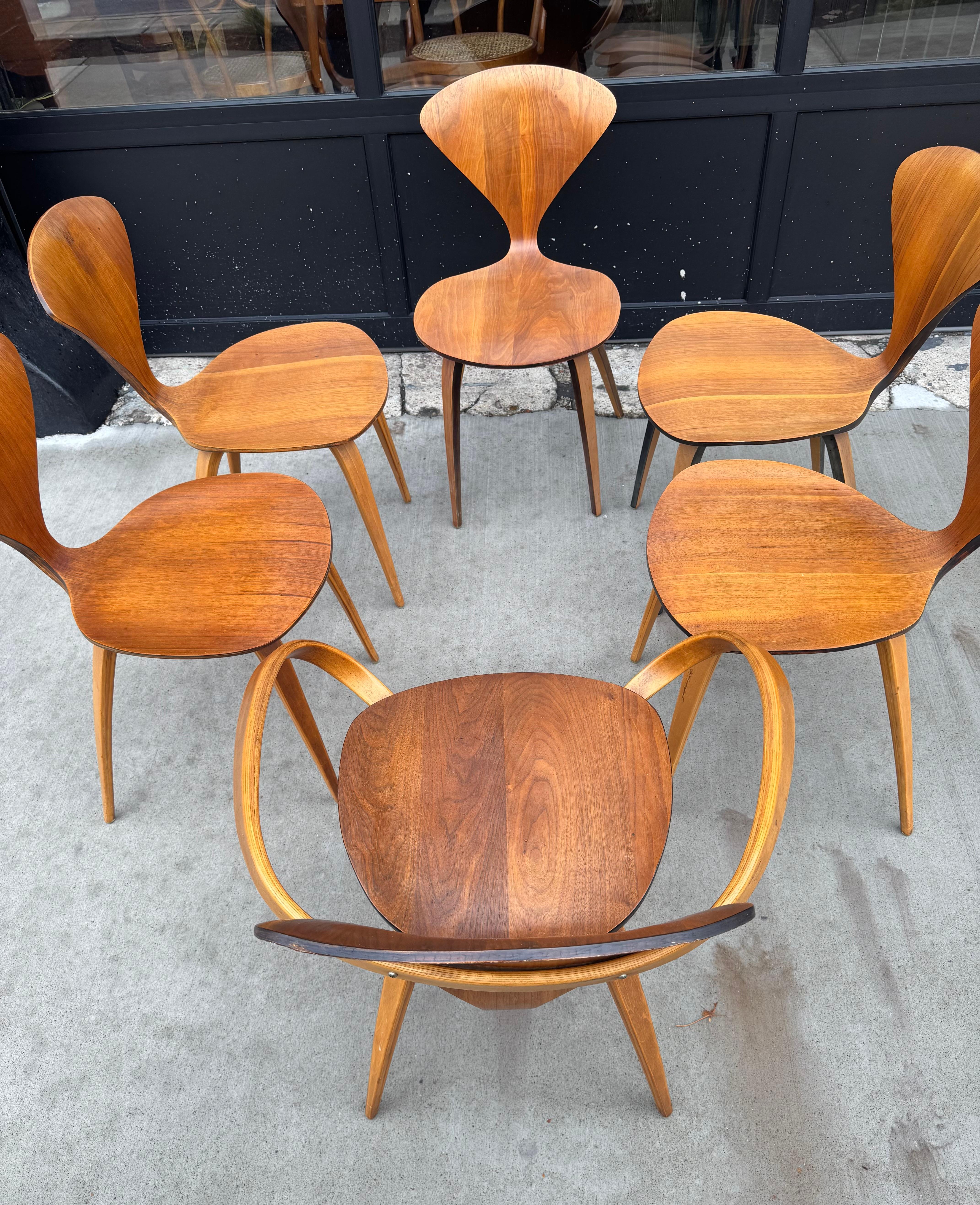 Américain Norman Cherner Plycraft Ensemble de 6 chaises de salle à manger sculpturales Moderne du milieu du siècle dernier en vente